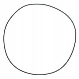 Oring 130100041002 case ih fendt renault steyr