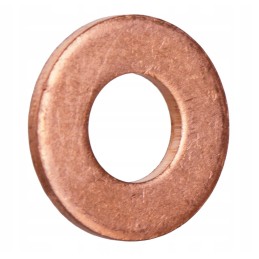 Nozzle injection seal t 25 6t22022