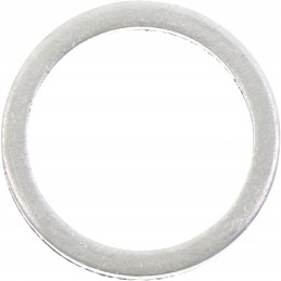 Massey Ferguson injector washer 747139m1