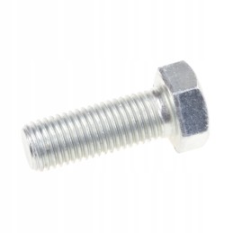 Hexagonal screw m20x55 mf 390740x1 original