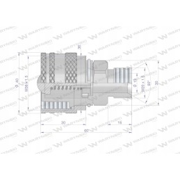 Valve plug m20x1 5 screwed zsr6m20wtk waryns