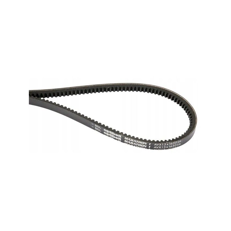 Toothed V-belt AVX 13 1575 mm