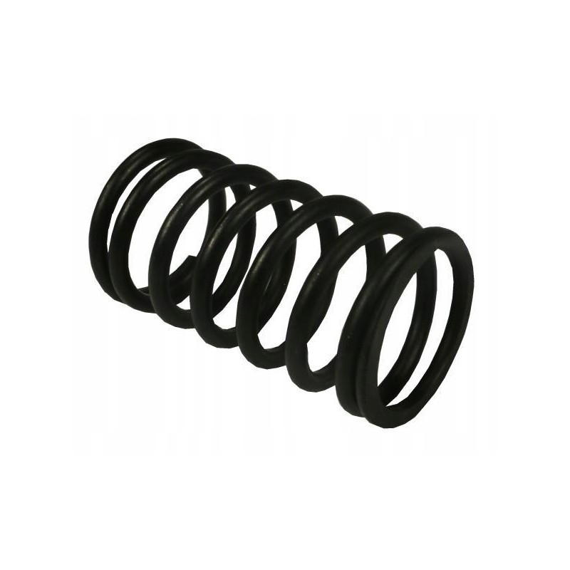 Internal valve spring 80005012 c 385 original