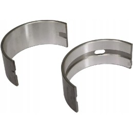 A pair of main connecting rod bearings