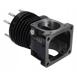 Painted muffler t 25 margo d21a1201040m