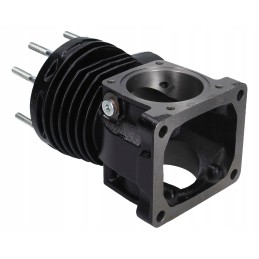 Painted muffler t 25 margo d21a1201040m