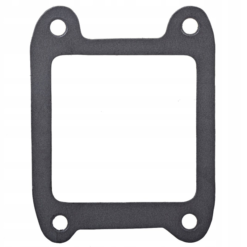 Gear lever washer Wladimirec T 25