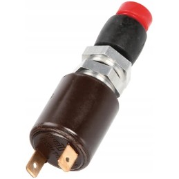Pneutron brake light switch