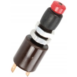 Pneutron brake light switch