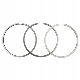 Engine piston rings set case 3144977r91