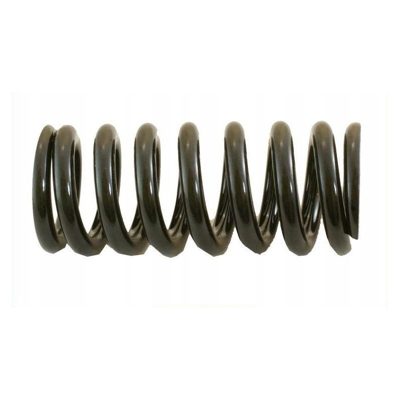 Ursus c 4011 steering knuckle spring 50436081