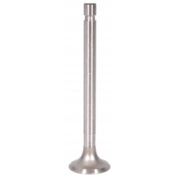 Exhaust valve fits c 360 26900050505061