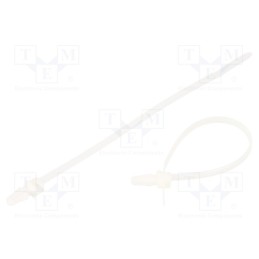 100 pcs x BM GROUP - BMBP1536 - Cable tie, with fixing lugs, L: 155mm, W: 3.6mm, polyamide, 180N