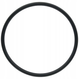 Seal ring for differential piston