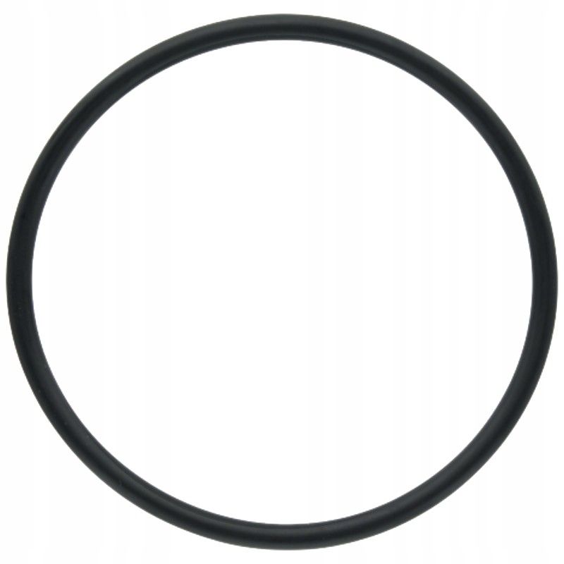 Seal ring for differential piston