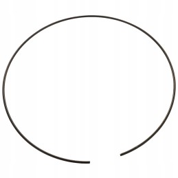 Case Fiat New Holland securing ring