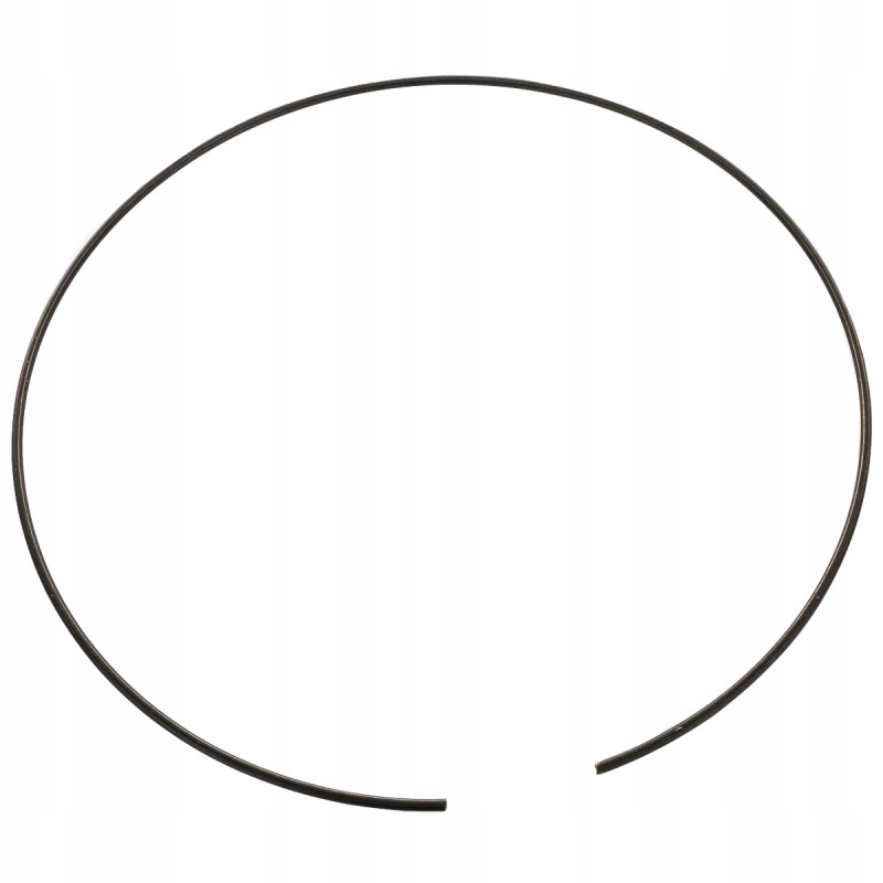 Case Fiat New Holland securing ring