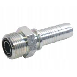 Pcv1013 tip dn10 13 16 orfs