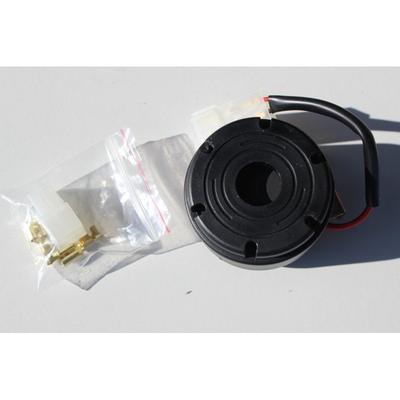 Reversing sound signal 12 24 bison