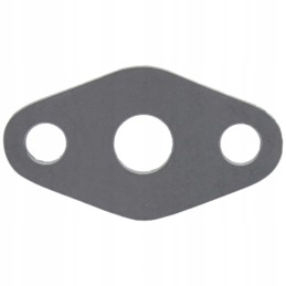 Gasket 38006629 f186200090040 granite