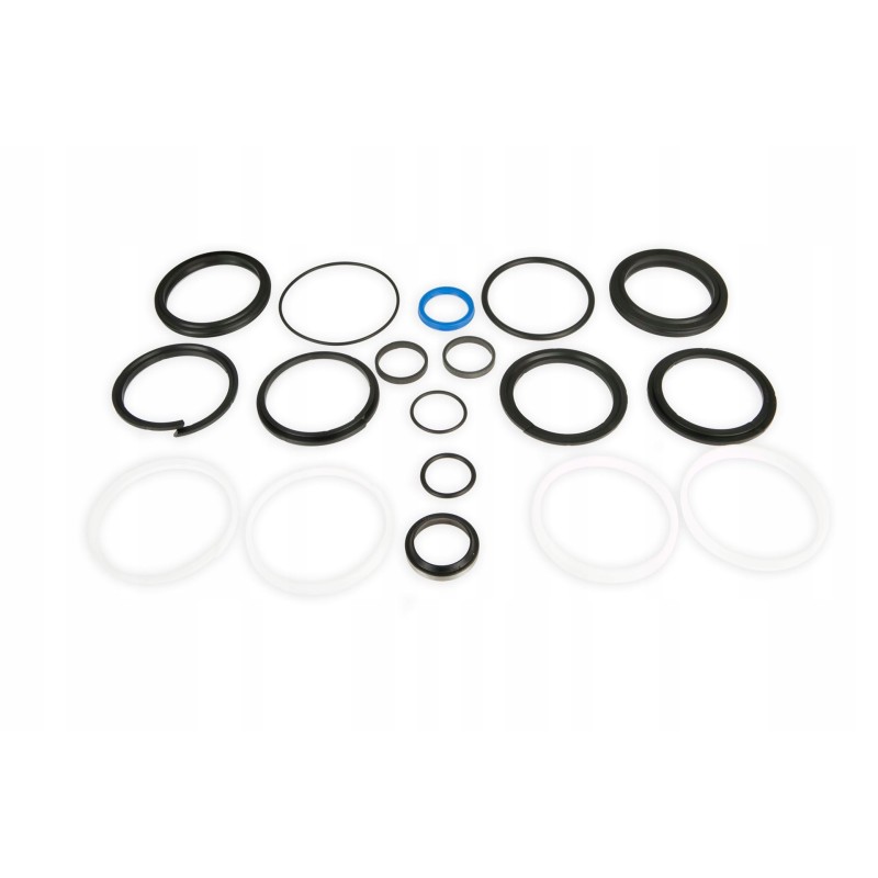 10188992 seals for double acting cylinder