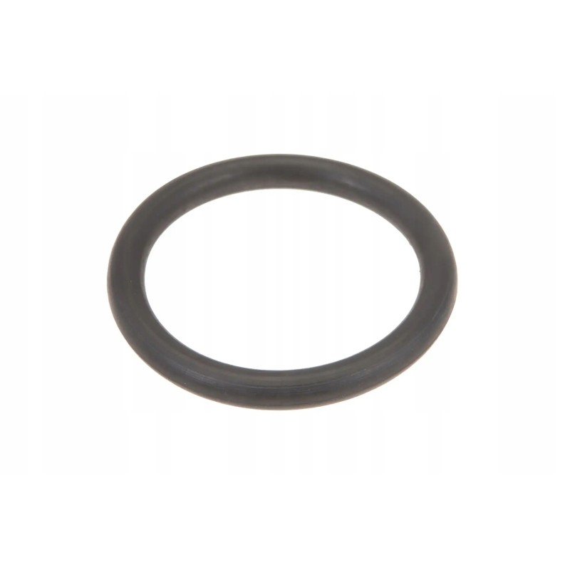6005029898 O-ring for mounting the crossheads