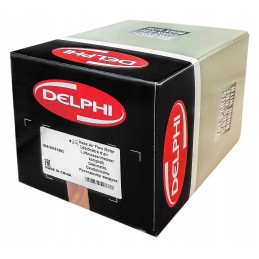 Delphi injection 8923a390g