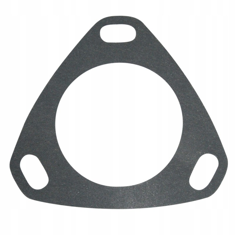 Fuel pump gasket c 385