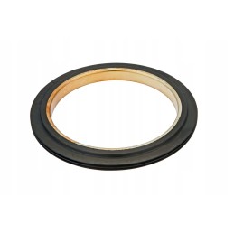 4307366m1 rear axle shaft seal