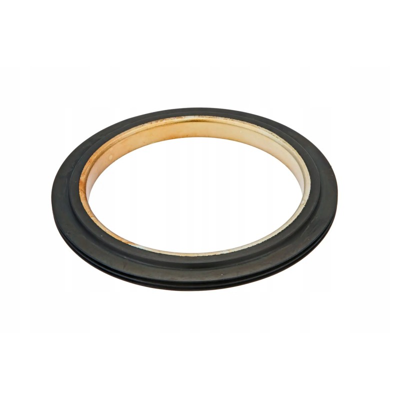 4307366m1 rear axle shaft seal