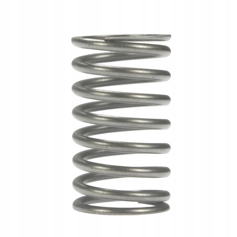 C 385 inner valve spring C 385