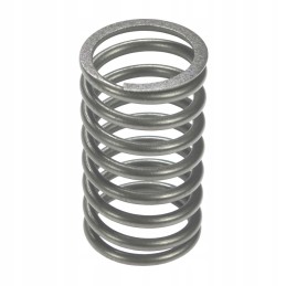 C 385 inner valve spring C 385