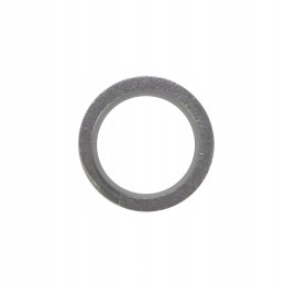 C 385 inner valve spring C 385