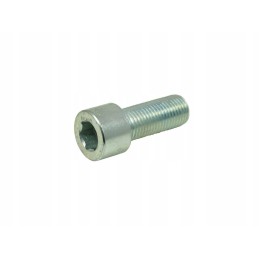 Brushcutter drive gear mounting bolt 238904