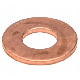 Injector washer 93009826 standard product