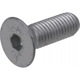 Screw m10x30 mm class 10 9