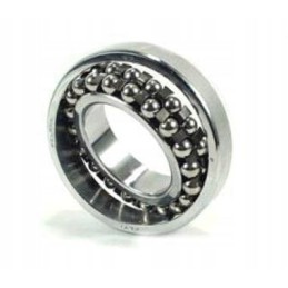 Bearing 1210 flt