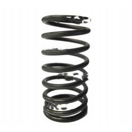 External valve spring for c 360 50505080 product