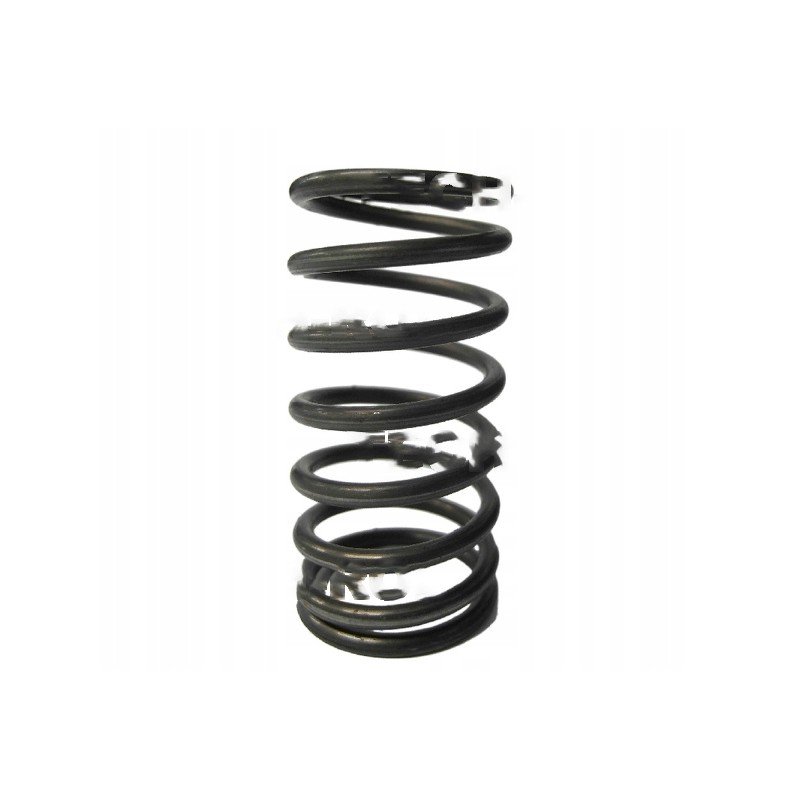 External valve spring for c 360 50505080 product