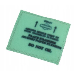 LG493537s air filter original