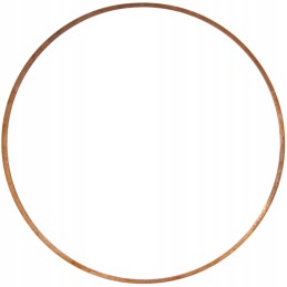 Engine liner washer c 385 80002002