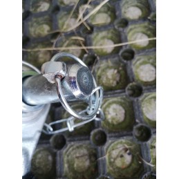 Central connector 2x pins c 360 46650440