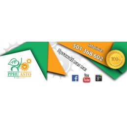 One-way clutch repair kit max