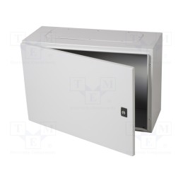 1 pcs x SCHNEIDER ELECTRIC - NSYCRN46250P - Enclosure: wall mounting, X: 400mm, Y: 600mm, Z: 250mm, Spacial CRN