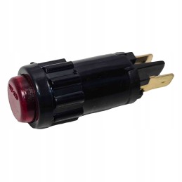 Red instrument panel indicator light