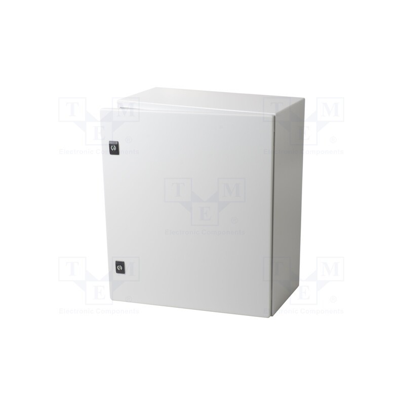 1 pcs x SCHNEIDER ELECTRIC - NSYCRN65250P - Enclosure: wall mounting, X: 500mm, Y: 600mm, Z: 250mm, Spacial CRN