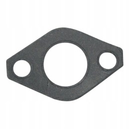 Oil pump gasket 80007037
