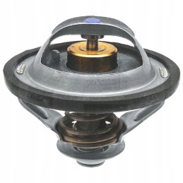 Thermostat case 2858074 504031212 84322388 87803