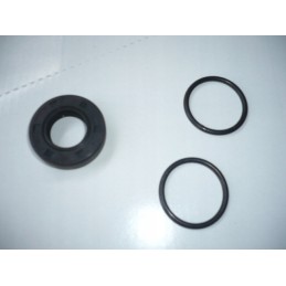 Lift pump repair kit 330 oversize