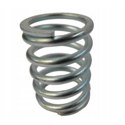 C360 injection pump pusher spring p250111